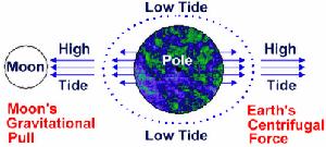（圖）潮汐能的形成