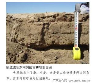 《環境考古》 《環境考古》