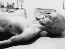 解剖[漢語詞語]