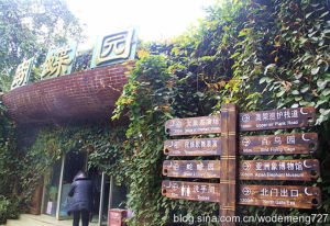 蝴蝶園風景區 蝴蝶園風景區