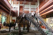 仙芝竹尖熊貓生態園