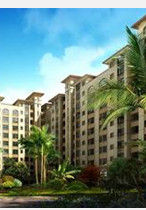 地產海南 地產海南