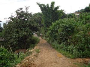 龍台自然村 龍台自然村