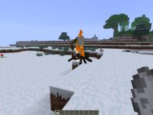 蜘蛛騎士的骷髏在陽光下燃燒。