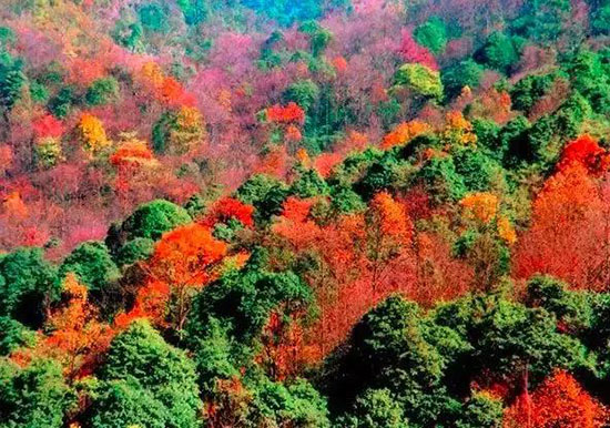 再過20天,貴州簡直要逼瘋攝影師!顏值嚴重被低估!