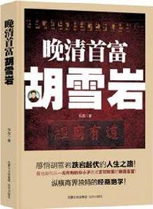 晚清首富胡雪岩 晚清首富胡雪岩