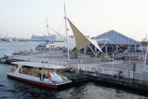 真愛碼頭 真愛碼頭