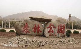 石嘴山森林公園 石嘴山森林公園