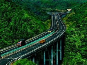 蒼南大道 蒼南大道