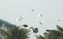 南京化工職業技術學院