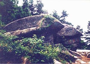 雙蛙聽經 雙蛙聽經