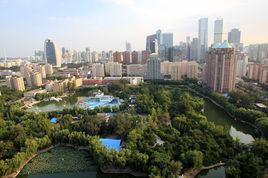 團結湖街道 團結湖街道