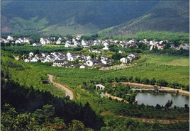 旺山景區 旺山景區