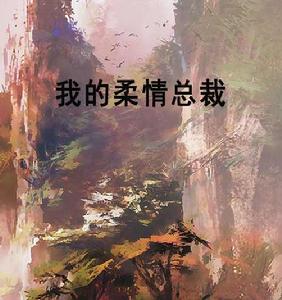 我的柔情總裁 我的柔情總裁