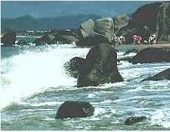 長江旅遊公園 長江旅遊公園