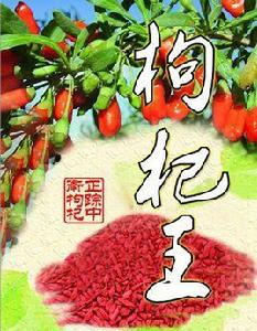 枸杞王 枸杞王