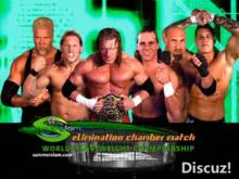 PPVEliminationChamber2012