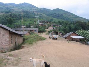 納礦新寨村 納礦新寨村