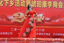 甘肅省天水歌舞團