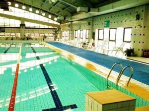 愛浪遊泳俱樂部 愛浪遊泳俱樂部