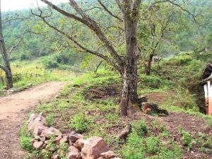 河對角自然村 河對角自然村