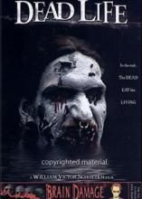 死寂人生 死寂人生