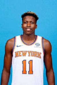 弗朗克·尼利基納