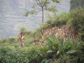 畢家丫口村 畢家丫口村