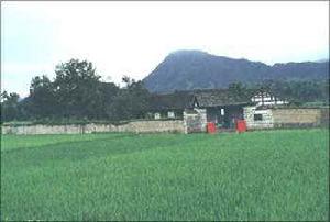 江蘇寶山 江蘇寶山