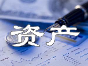 資產 資產