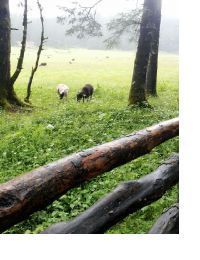 謫落凡塵 謫落凡塵