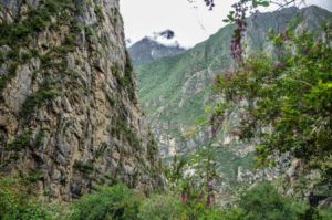 猴子洞村 猴子洞村