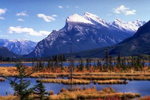 美洲野牛澗地帶