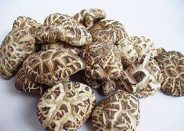 通江香菇 通江香菇