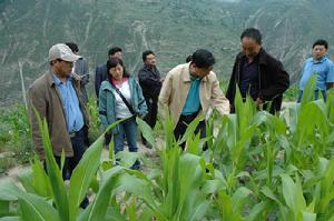 白馬橋鄉[江西省]