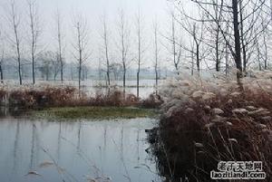 渦陽道源國家濕地公園。