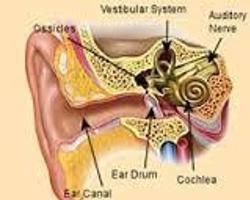 創傷性耳聾 創傷性耳聾