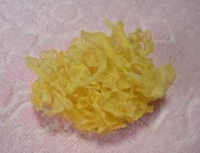 腦狀銀耳 腦狀銀耳