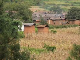小龍譚村 小龍譚村