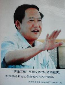 張錫文[清華大學副教授]