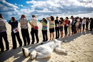 傘形集團 傘形集團