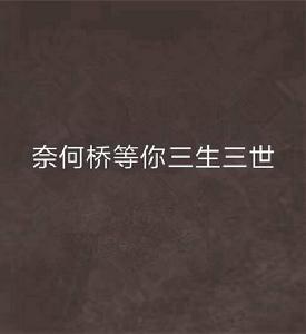 奈何橋等你三生三世 奈何橋等你三生三世