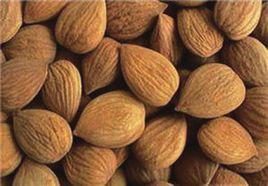 美國扁桃 美國扁桃