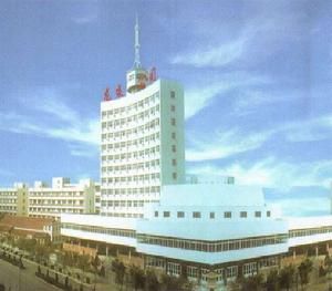 龍口龍泵燃油噴射有限公司