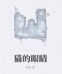 貓的眼睛 貓的眼睛