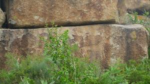 怪石峪文化遺產--古代岩畫 阮國春 攝