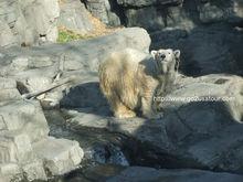 中央公園動物園