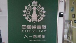 國象常青藤 國象常青藤