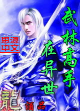 《武林高手在異世》
