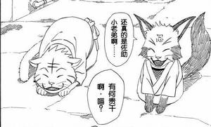 左為電火，右為雛